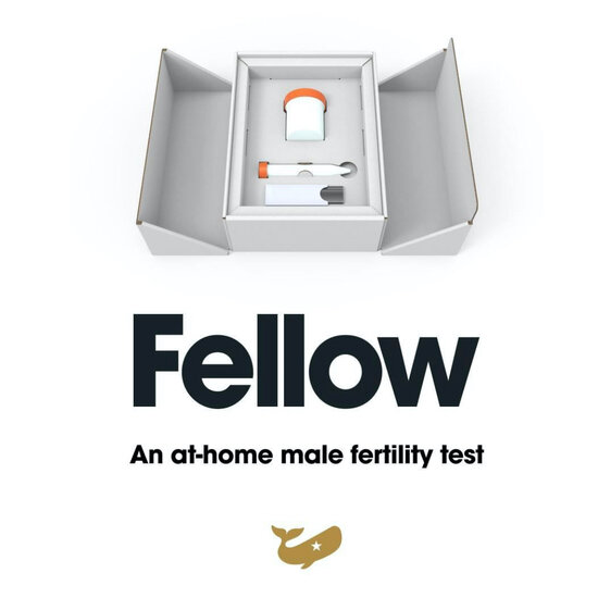 Felow Sperm Test Review Kit Feature Image